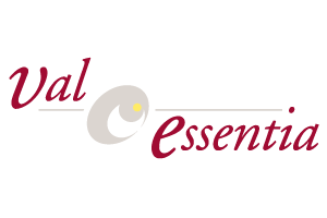 logotipo-valessentia-clientes-arg-media